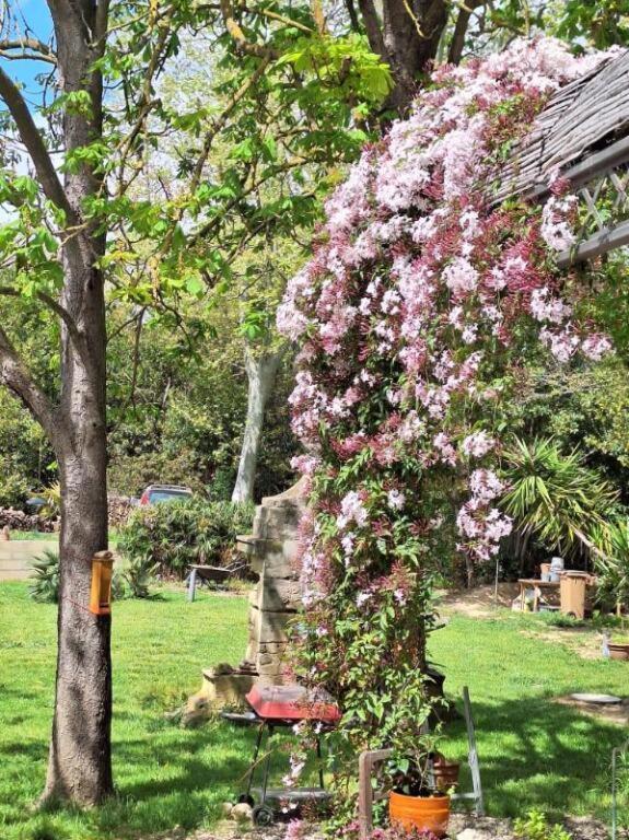 Bed and Breakfast Domaine De Capoulade Narbona Exterior foto